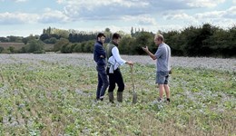 Northern Ireland Monitor Farm Network - Cover crops masterclass 